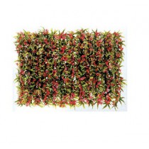 Barrette pour vitrine (boite de 12), fleurs de passion, longueur 250 mm