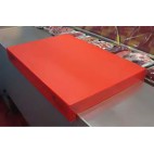 Planche de découpe en polyéthylène, pour banque réfrigérée, 1000 x 400 mm