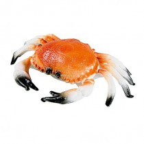 Décoration crabe pour vitrine poissonnerie