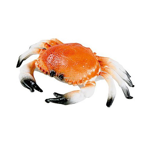 Décoration crabe pour vitrine poissonnerie Décoration crabe pour vitrine poissonnerie