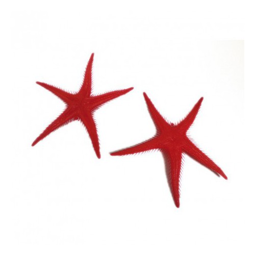 Décoration Étoiles de mer (lot de 2) pour vitrine poissonnerie Décoration Étoiles de mer (lot de 2) pour vitrine poissonnerie