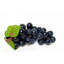 Décoration Raisin noir (lot de 12) pour vitrine poissonnerie