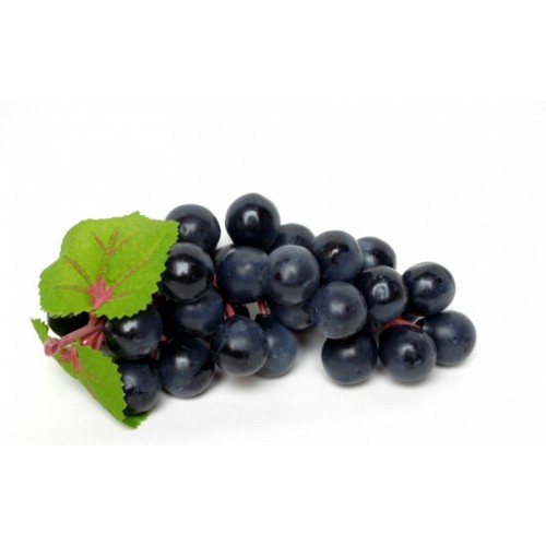 Décoration Raisin noir (lot de 12) pour vitrine poissonnerie Décoration Raisin noir (lot de 12) pour vitrine poissonnerie