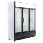 Armoire à boisson, gamme multi-portes, 2 portes battantes, 490 canettes slim