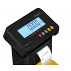 Bascule industrielle, Pesage mobile, TCamel VP 2T