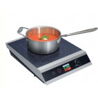 Plaque induction intelligente 220-230 V monophasé