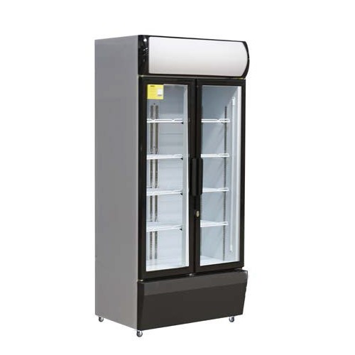 Vitrine de présentation boissons 2 portes battantes 580 L