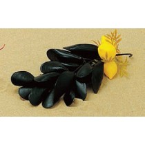 Grappe de moules avec citron