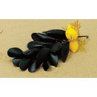 Grappe de moules avec citron décoration poissonnerie