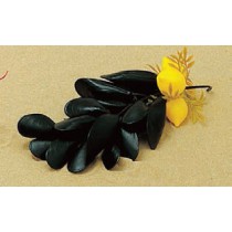 Grappe de moules avec citron décoration poissonnerie